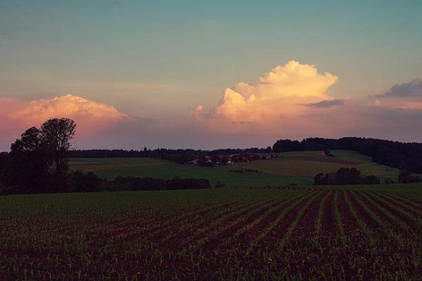 Бежин луг вечер