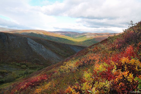 Воркута тундра летом
