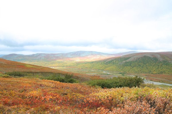 Воркута тундра