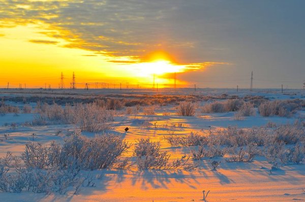 Воркута тундра летом