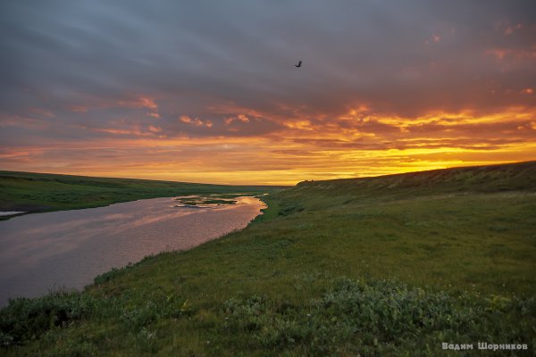 Пейзажи Воркуты фото