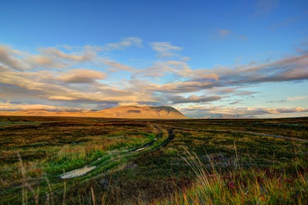 Воркута тундра