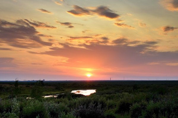 Воркутинская тундра