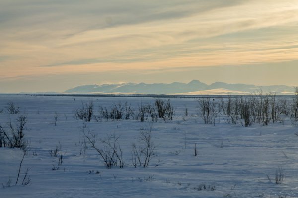 Город Печора Республика Коми Северное сияние
