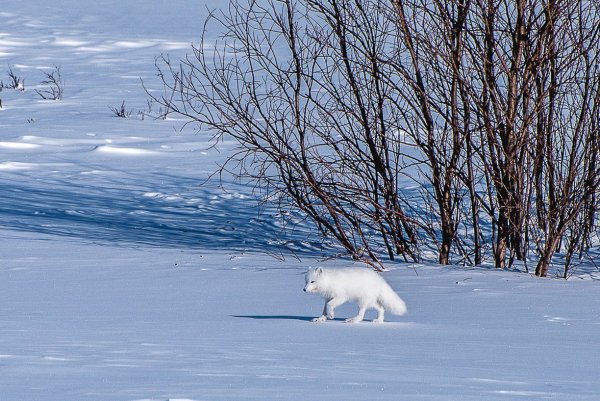 Осенняя Воркута