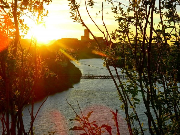 Кочкарная тундра