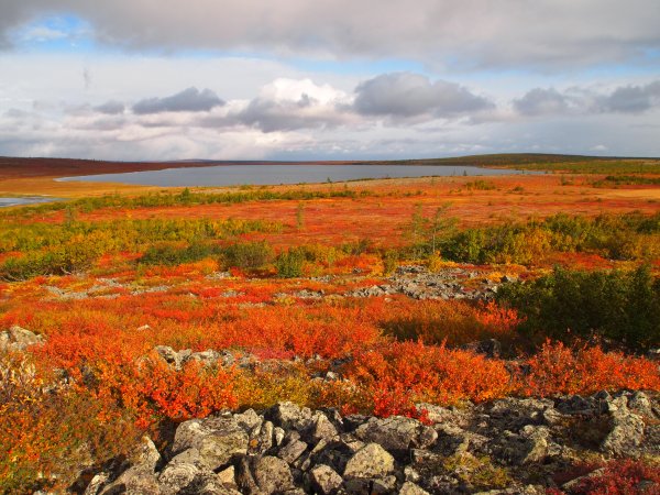 Республика Коми Северное сияние