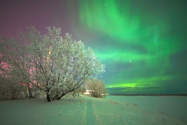 Воркута горы