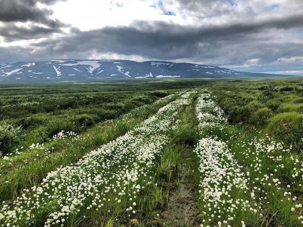 Город Печора Республика Коми Северное сияние