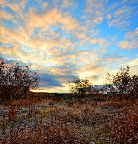 Воркутинская тундра