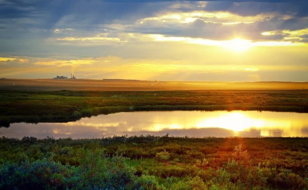 Оленеводы тундра Воркута чум