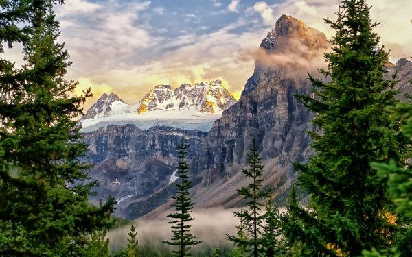 Красивый лес и горы