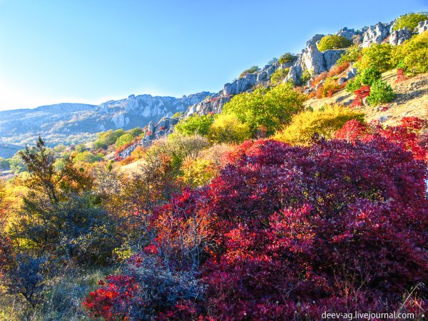 Ялтинская яйла осень