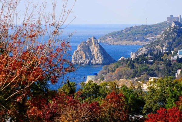 Природа Алупки Ялты