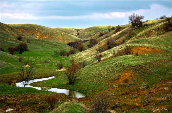 Курская область овражно балочный рельеф