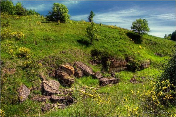 Яр балка овраг Лог