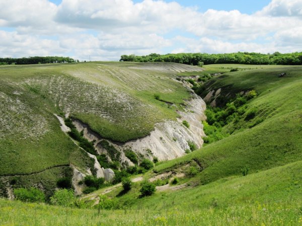 Дивногорье овраги