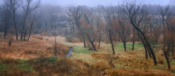Пейзаж балки