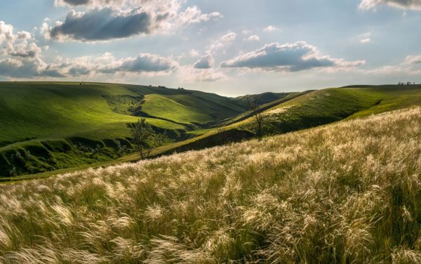 Степи Ставропольского края