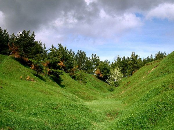 Холмы овраги России