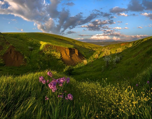 Федор Лашков природа Ставропольского края