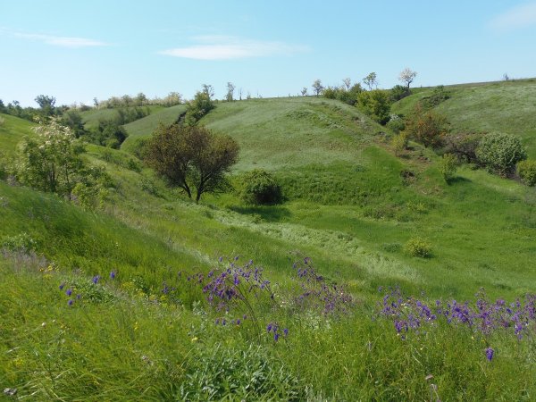 Овражно-балочный рельеф Белгородской области
