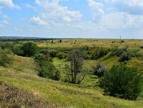 Каменная балка Ростовская область Недвиговка