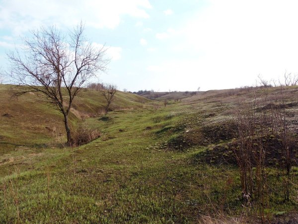 Щербаковская балка Ураков бугор