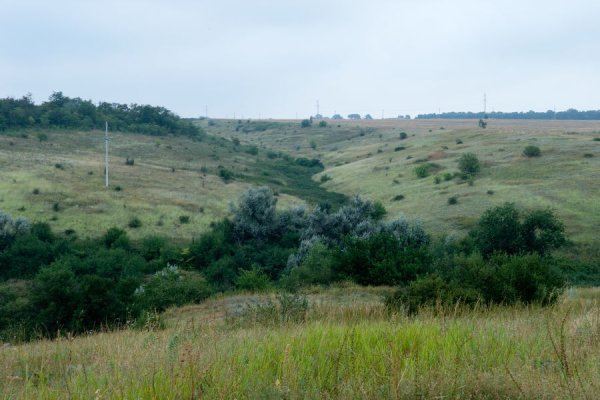 Усатова балка пруд