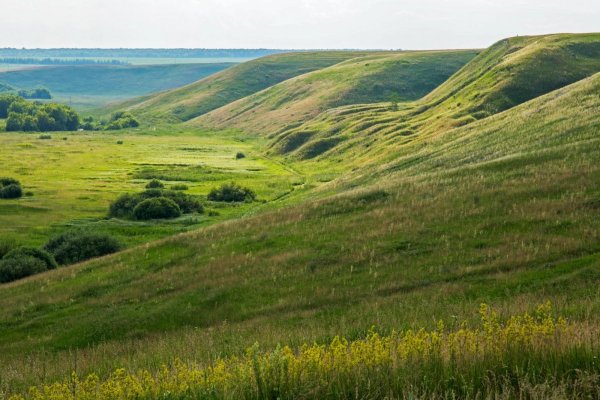 Иллюстрации оврага и балки