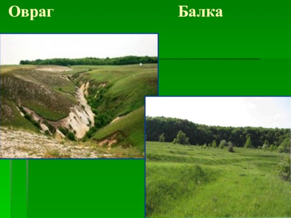 Донская степь ковыль