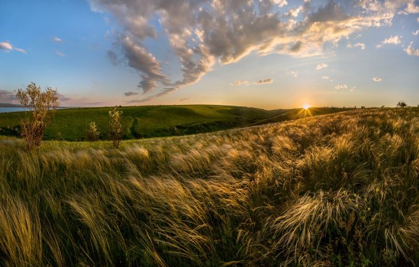 Щербаковский природный парк Волгоградской