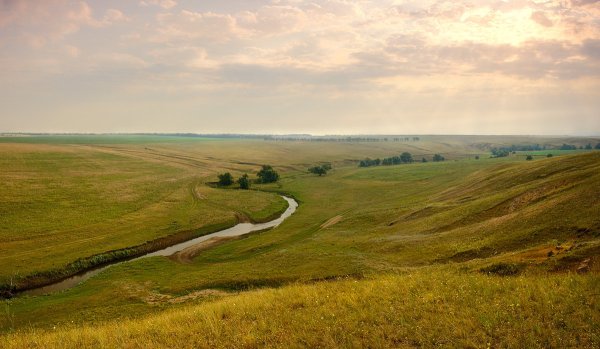 Природа Англии Холт ручей