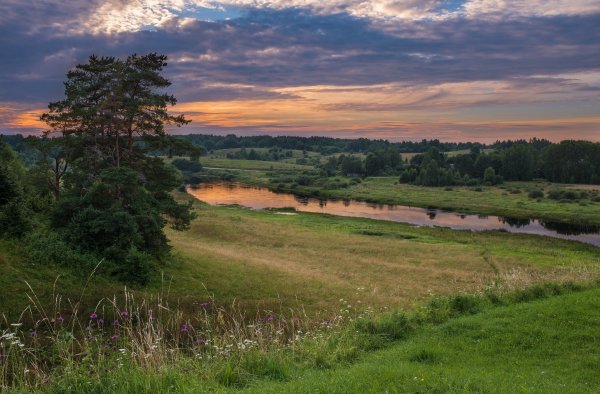 Шебекинский район природа