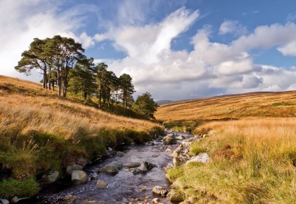 Степи Австралии