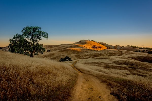 Залидовские Луга Жемчужина национального парка Угра