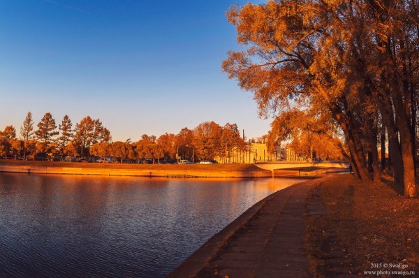 Колпино осень