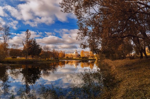 Колпино природа