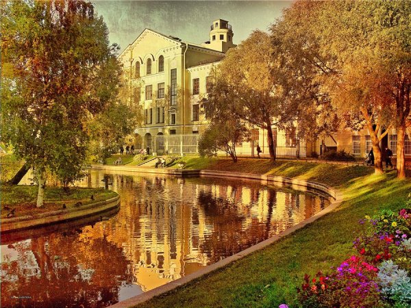 Колпино осенний пейзаж