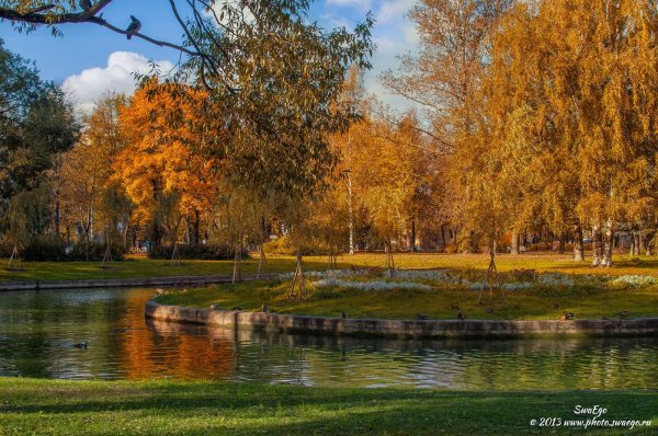 Осень Колпино сквер