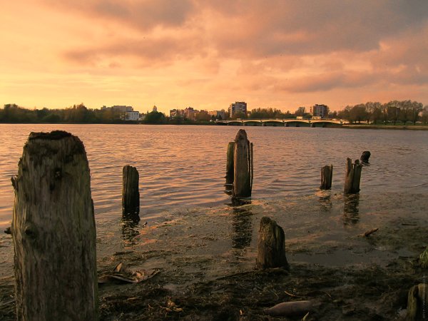 Колпино 1590 на 400