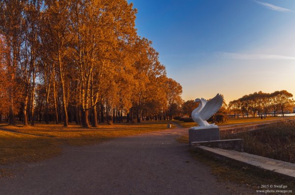 Колпино осенью