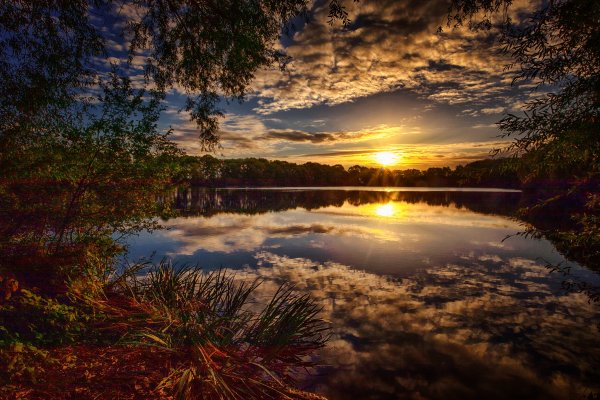 Лес озеро закат