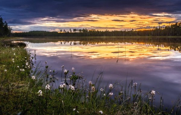 Калищенское озеро