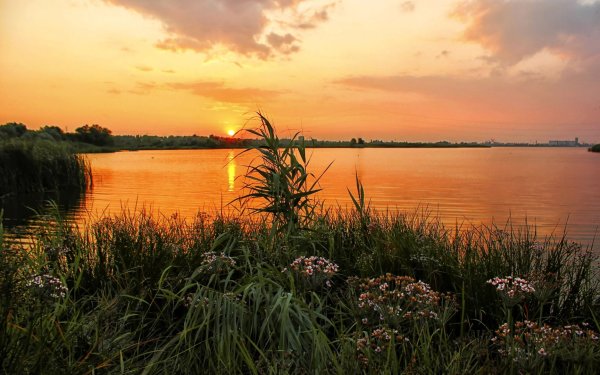 Вечерз на берегк у реки