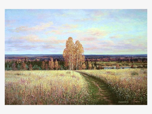 Панин Сергей Анатольевич поле рожь