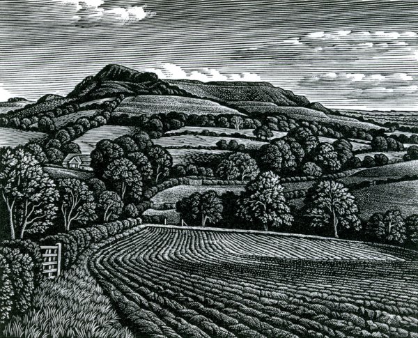 Ксилографии Остроумовой Лебедевой