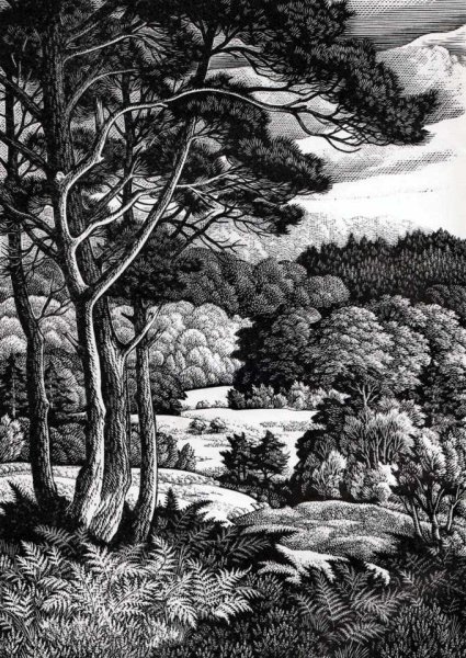 Paul Landacre художник