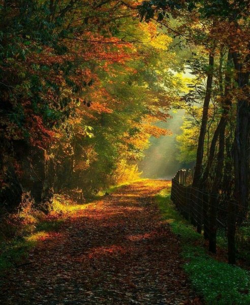 Пейзаж осени