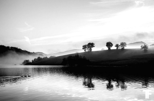 Лучшие чб пейзажи